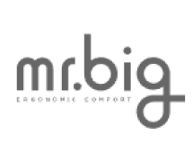 Mr Big Logo